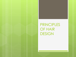 principles of hair design
