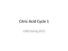 Citric Acid Cycle 1 - Chemistry Courses: About
