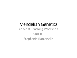 Mendelian Genetics - Biology Concept Workshop