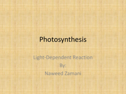 Photosynthesis - THESTUDENTSCHOOL