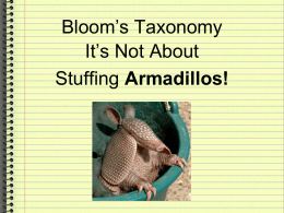 Bloom`s Taxonomy: Not about Stuffing Armadillos