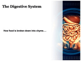 What is digestion?