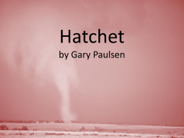 Hatchet by Gary Paulsen