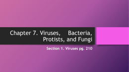 Chapter 7. Viruses, Bacteria, Protists, and Fungi