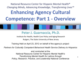 Cultural Competence in Mental Health Organizations