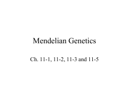 1b Unit 7 Mendelian genetics powerpoint parts 1 2 and 3