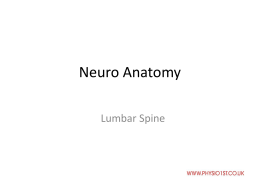Neuro-Anatomy-and-Neurodynamics-Handout