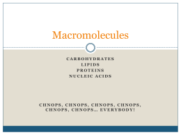MAcromolecule ppt
