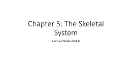 Chapter 5: The Skeletal System