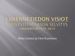 liikennevisioraportti