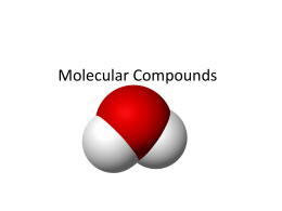7. Molecular Compounds