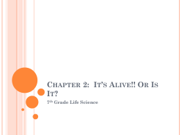 Chapter 2 content Power Point Grade 7