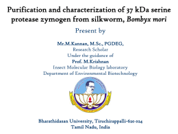 Present by Mr.M.Kannan, M.Sc., PGDEG Doctoral Research Scholar
