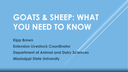 OR Sheep and goats? - Mississippi State University Extension Service