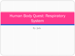 Human Body Quest: Respiratory System