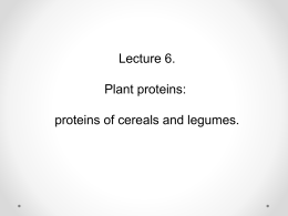 L6 Proteins of cereals and legumes