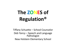 The ZONES of Regulation - New Holstein School District