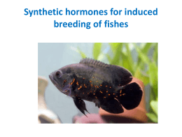 Synthetic hormones for induced breeding of fishes