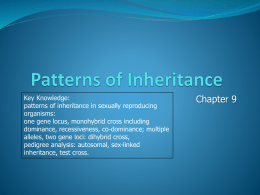 Chapter 09 - Patterns of Inheritance 2012