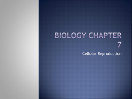 Biology Chapter 7