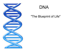 DNA Basics