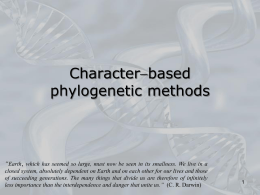 Character-based phylogenetic methods