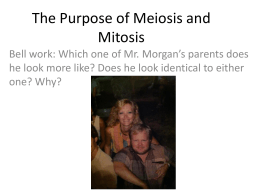 The Purpose of Meiosis and Mitosis