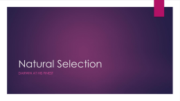 Natural Selection - American Academy