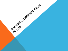 Chapter 2: Chemical Basis of Life