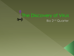 virus v2.0 - sampaguita 2013