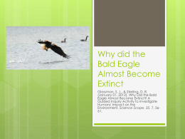 Why_did_the_Bald_Eagle_Almost_Become_Extinct