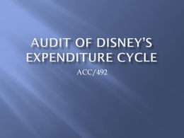 Audit Of Disney`s expenditure Cycle