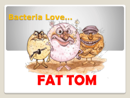 Bacteria Love… FAT TOM FATTOM