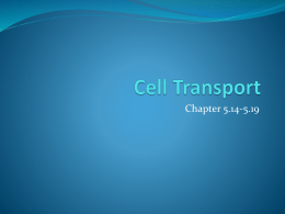 Cell Transport powerpoint