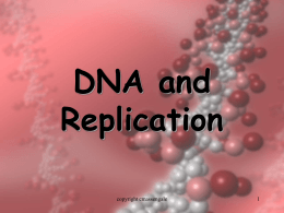 DNA Replication