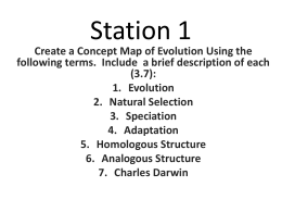 Evolution Station Review