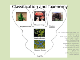 Classification-Taxonomy Overview