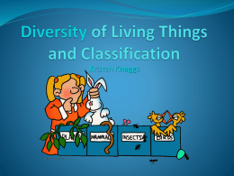 Diversity of Living Things and Classification