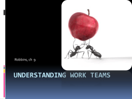 Understanding Work Teams