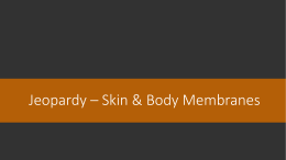 Unit 4 Skin and Body Membranes