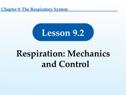 9.2 Respiration: Mechanics and Control