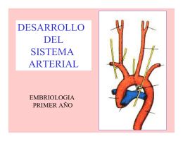 Sistema Arterial - Servidor web opsu