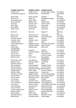 NOMBRE CIENTÍFICO NOMBRE COMÚN NOMBRE INGLÉS