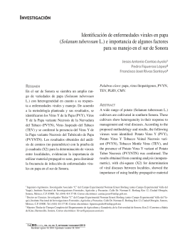 Identificación de enfermedades virales en papa (Solanum
