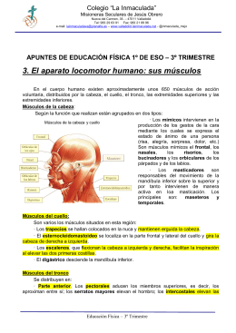 3er. Trimestre - colegio la inmaculada