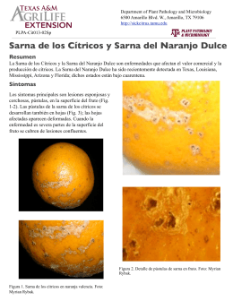 Sarna de los Cítricos y Sarna del Naranjo Dulce Resumen