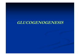 glucogenogenesis