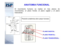 anatomia-biomecanica-antropometria_2