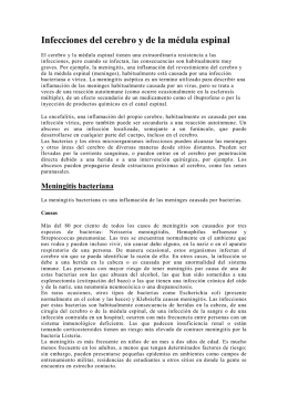 Infecciones del cerebro y de la médula espinal