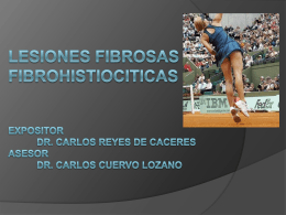 Lesiones fibrosas y fibrohistiociticas